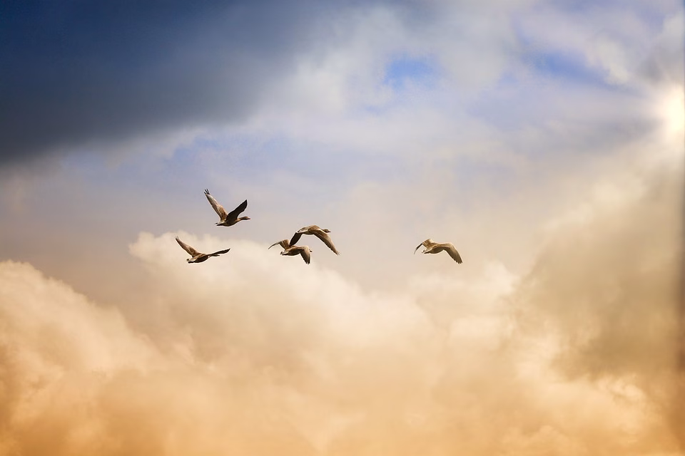 Freedom to Focus: Why Every Freelancer Needs CRM with Integrated Invoicing