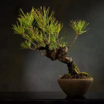 Bonsai Basics: Cultivating Miniature Masterpieces at Home