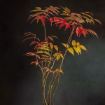 Bonsai Beyond Borders: Exploring Global Styles and Techniques