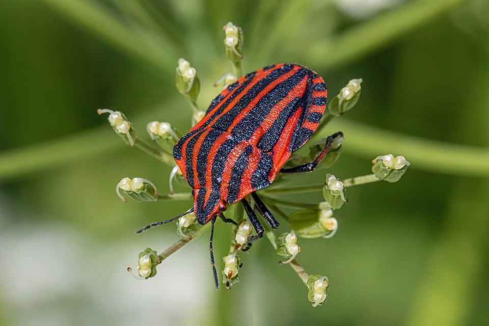 Bug Fix Bonanza: Enhancements You’ve Been Waiting For!