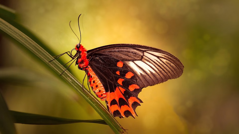 Transform Your Workflow: Effective Custom Status Tracking Techniques