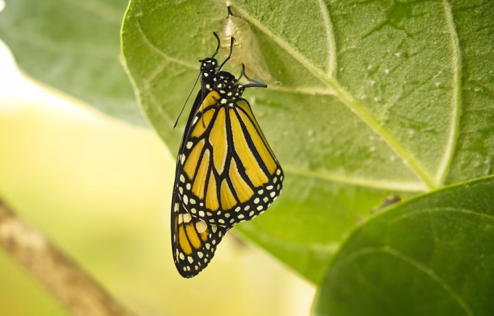 Transforming Legal Practices: How CRM Systems Enhance Client Relations