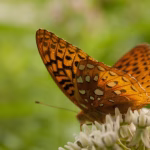 Transform Your CRM Experience: Efficiency Hacks for Every User