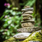 Balancing Innovation and Organization: Project Management Best Practices for Founders