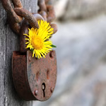 Security Matters: Why Hosting Your CRM on a Custom Domain is Safer