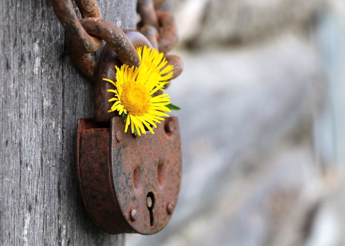 Security Matters: Why Hosting Your CRM on a Custom Domain is Safer