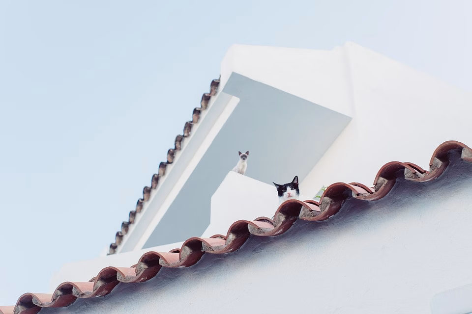 Beyond ATS: Exploring the Full Spectrum of Recruitment Management Solutions Beyond ATS: Exploring the Full Spectrum of Recruitment Management Solutions