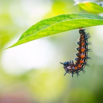 Transform Your Productivity: Automate Tasks with Webhooks and APIs
