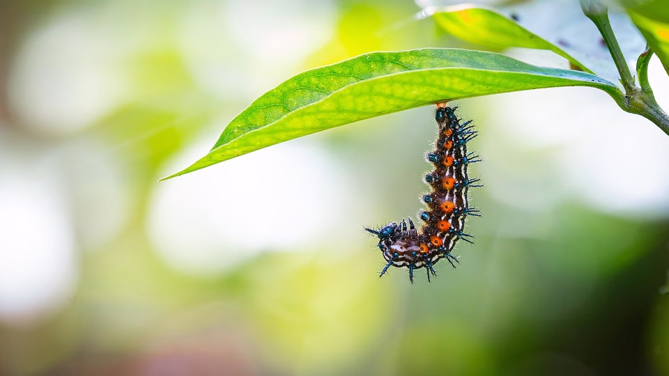 Transform Your Productivity: Automate Tasks with Webhooks and APIs