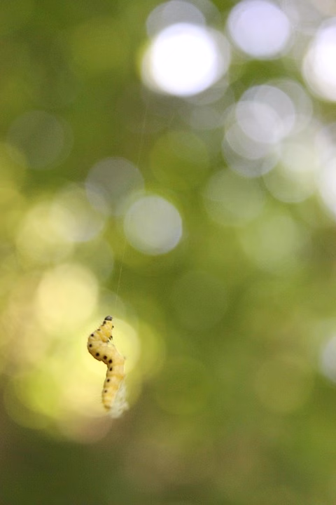 Transform Your Business with These CRM Reporting Best Practices