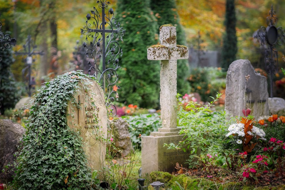 Why Your CRM Needs a RESTful API: Benefits and Best Practices