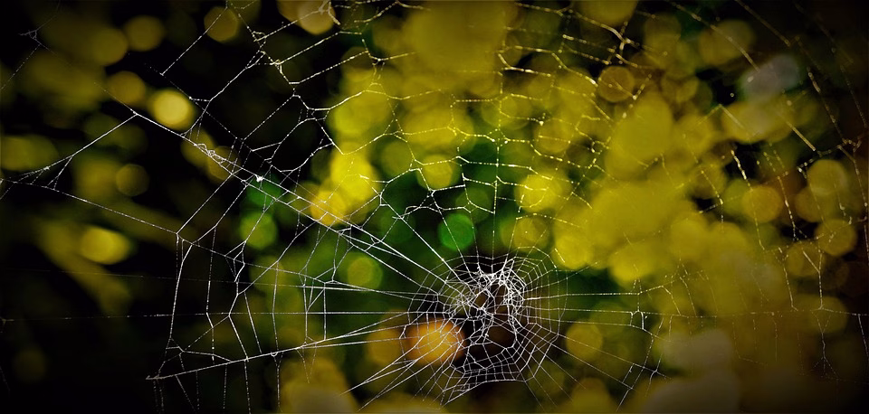 From Chaos to Clarity: The Benefits of Using Agile Project Management Tools