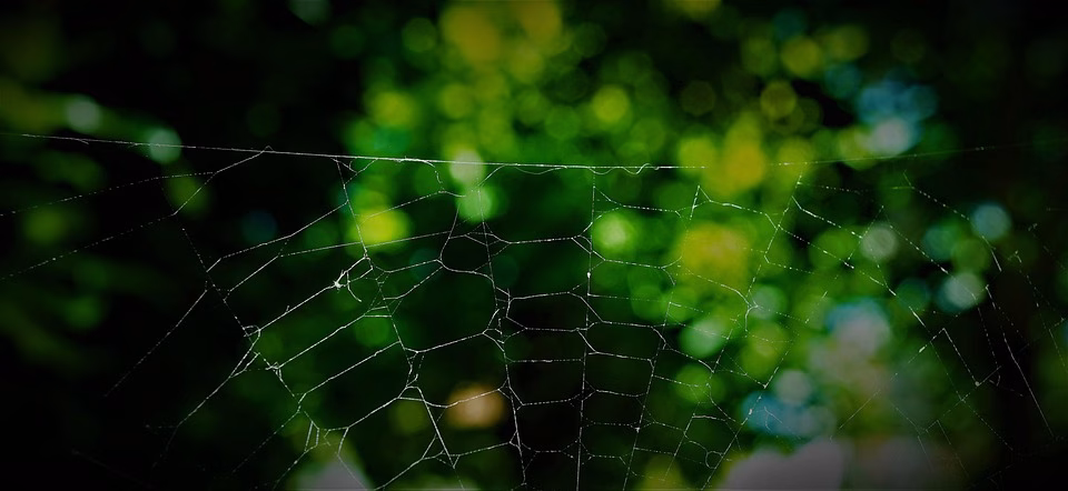 From Chaos to Control: Streamlining Your Freelance Contract Management From Chaos to Control: Streamlining Your Freelance Contract Management
