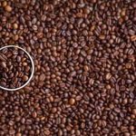 User-Centric Fixes: How We’re Addressing Your Concerns