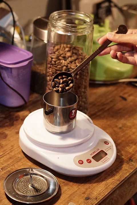 Measuring Success: How to Track the Performance of Your Link in Bio on TikTok