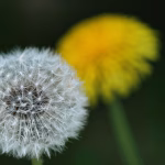 Transform Your Invoicing Process with a Compliant CRM Tool