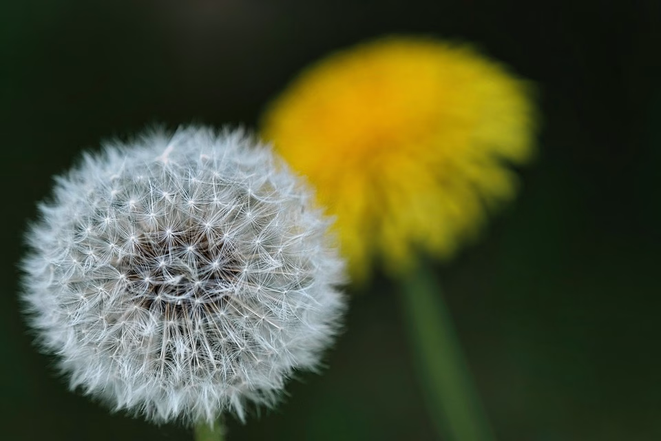 Transform Your Invoicing Process with a Compliant CRM Tool