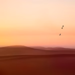 Streamlining Remote Work: Software Solutions That Break Down Location Barriers