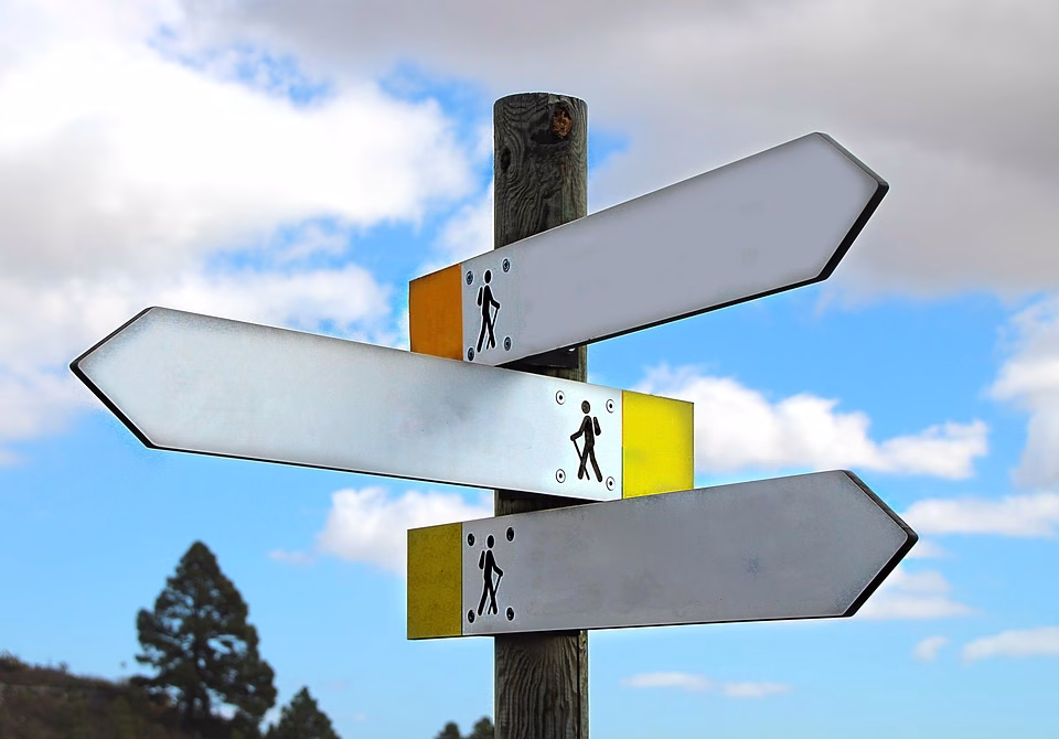 Data-Driven Decisions: Analyzing Lead Conversion Metrics for Maximum Impact Data-Driven Decisions: Analyzing Lead Conversion Metrics for Maximum Impact