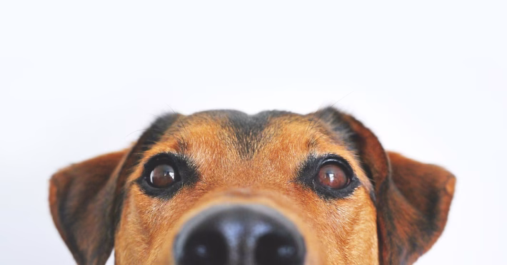 Boosting Loyalty: The Top Customer Retention Tools You Need to Know
