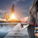From Chaos to Clarity: Why Businesses Are Choosing Scoro