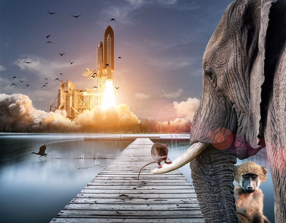 From Chaos to Clarity: Why Businesses Are Choosing Scoro From Chaos to Clarity: Why Businesses Are Choosing Scoro