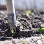Unlocking Potential: The Best Open-Source Tools to Boost Your Productivity in 2025