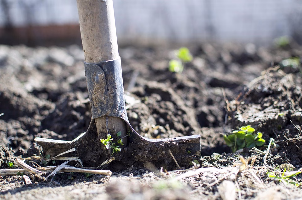 Unlocking Potential: The Best Open-Source Tools to Boost Your Productivity in 2025