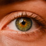 2025 Vision: How Emerging Technologies are Reshaping the Software Landscape