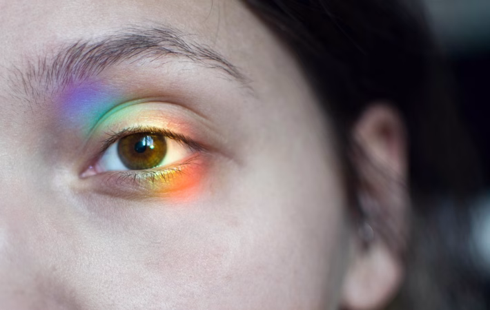 2025 Vision: How the Software Market is Set to Transform Industries Worldwide