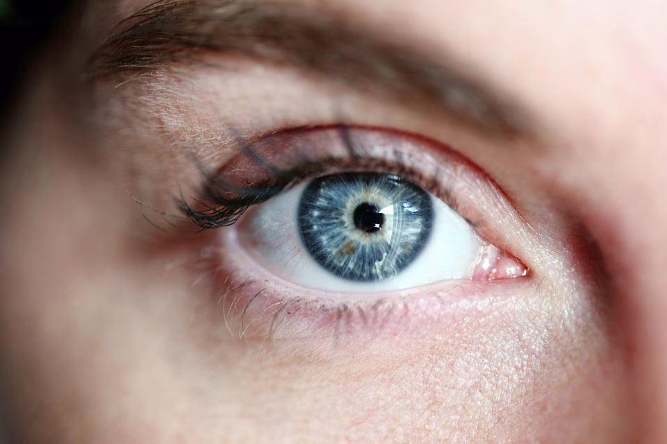 The 2025 Vision: How Digital Transformation is Reshaping Industries