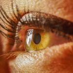 From Vision to Execution: Operational Strategies for Startup Founders