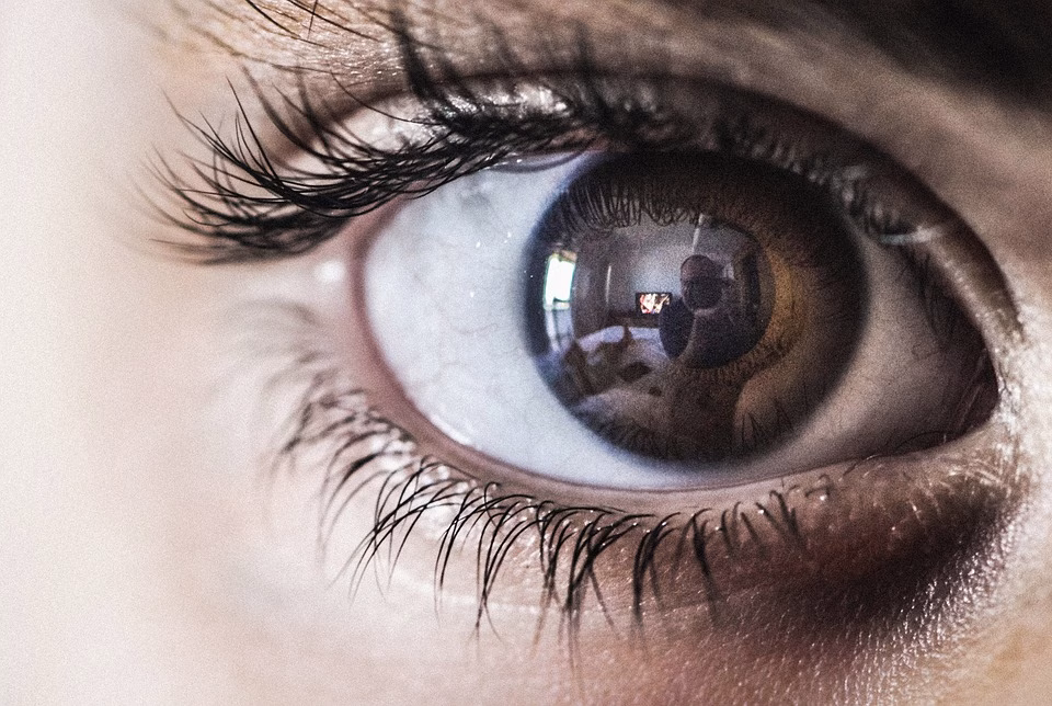 2025 Vision: The Future of Wearable Tech and Its Impact on Everyday Life