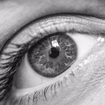 2025 Vision: The Rise of Citizen Developers and the Future of Low-Code No-Code Solutions