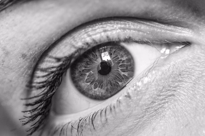 2025 Vision: The Rise of Citizen Developers and the Future of Low-Code No-Code Solutions