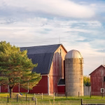 From Silos to Synergy: The Role of Open APIs in Unified CRM Systems