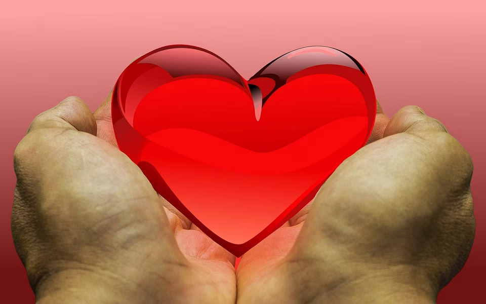 “Beyond Donations: Using CRM to Cultivate Lasting Supporter Relationships” “Beyond Donations: Using CRM to Cultivate Lasting Supporter Relationships”