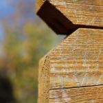 Privacy Matters: Optimize Your Online Business Card Settings for Maximum Security
