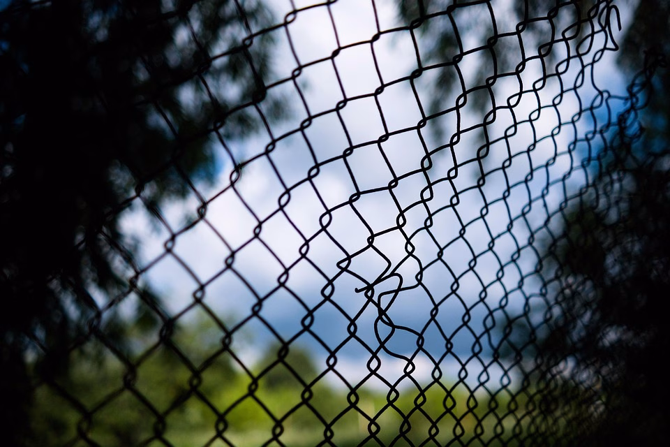 Data-Driven Links: How to Use Analytics to Enhance Your Bio Page