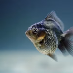 Scaling Success: How to Accelerate Your SaaS Company’s Growth
