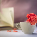 Time Tracking Tips: Elevate Your Remote Work Routine and Achieve More