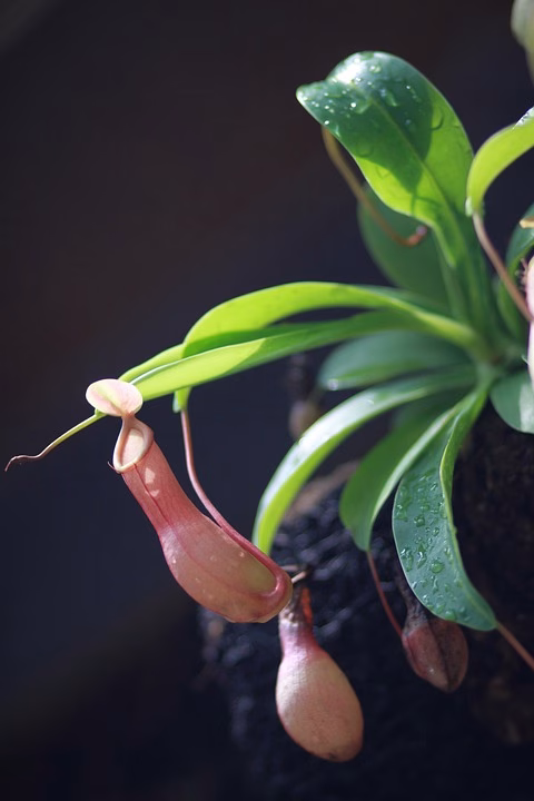 Debugging Your CRM: Common Developer Pitfalls and Solutions