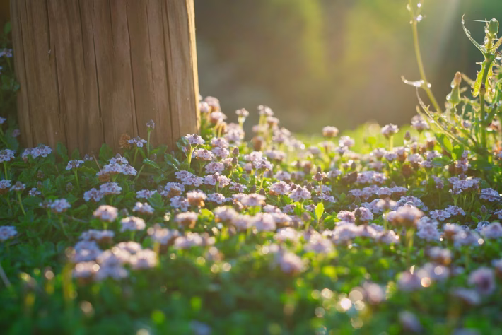 Unlocking Growth: How HubSpot Revolutionizes Inbound Marketing