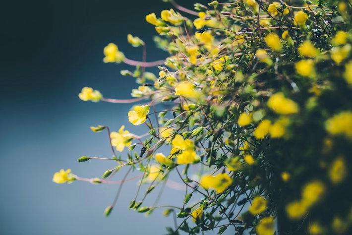Unlocking Growth Potential: An Insider’s Look at the Best Business Planning Tools