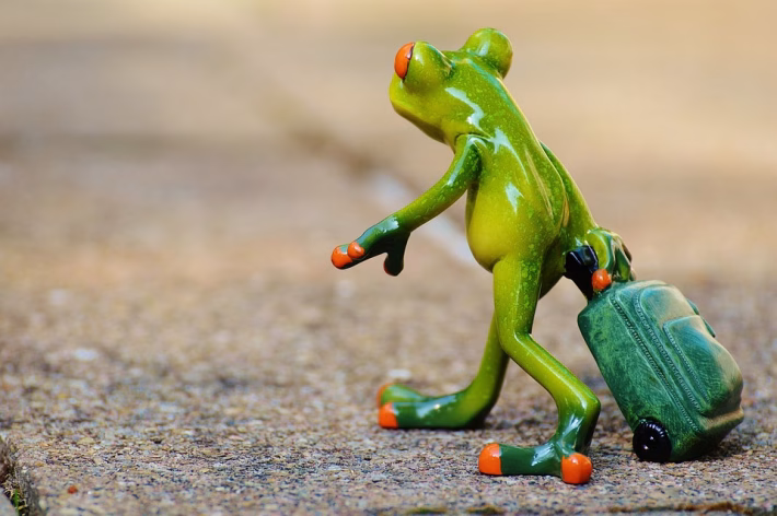 5 Ways CRM Software Transforms Customer Relationships