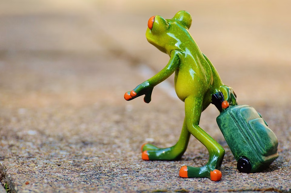 5 Ways CRM Software Transforms Customer Relationships