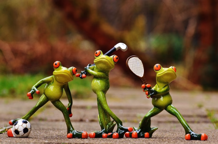 Wrike vs. The Competition: Which Project Management Tool Reigns Supreme?