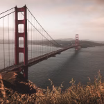 Bridging the Gap: Digital Milestones That Keep Remote Teams Connected