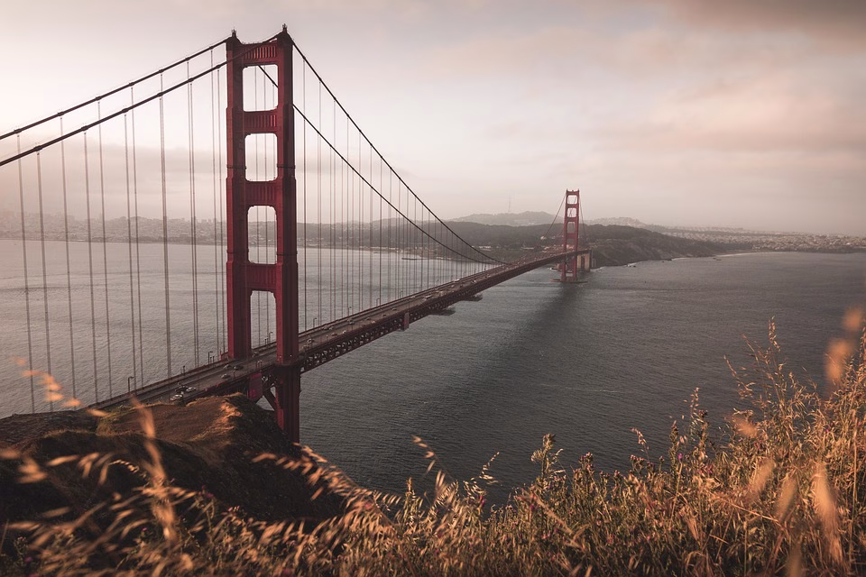 Bridging the Gap: Digital Milestones That Keep Remote Teams Connected