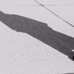 The Future of Work: Embracing Digital Document Management to Drive Growth